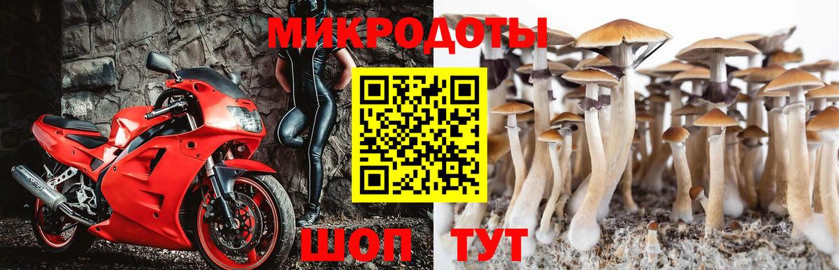 Галлюциногенные грибы мицелий  Вход с VPN  Калуга 